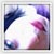 :iconThuring: