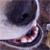:iconthursdays-rain: