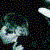 :iconthursdaysdove: