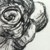 :iconthybird2-2: