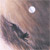 :iconthylacin: