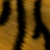 :iconthylacine2: