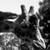 :iconthymes-beast: