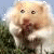 :iconti-cas: