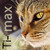 :iconti-max: