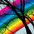 :icontibby-lush: