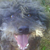 :icontibor-bauer: