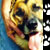 :icontickleddog: