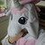 :iconticktockmoon: