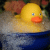 :icontiffchiang: