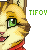 :icontifov: