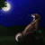 :icontiftif123:
