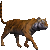 :icontiger-boy: