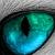:icontiger-eyes915: