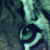 :icontiger-in-ze-dreaming: