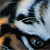:icontiger-of-sky: