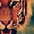 tiger-pwincess :icontiger-pwincess: