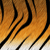 :icontiger-queen:
