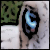:icontiger-quoll:
