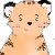 :icontiger200188: