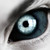 :icontiger4141: