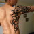 :icontiger5137: