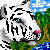 :icontigerart123: