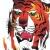 :icontigerdemon2: