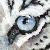 :icontigeress11: