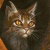 :icontigerfire25: