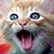 :icontigerfreak2490: