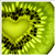 :icontigerlu72: