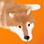 :icontigerotter7: