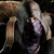 :icontigerpancake11: