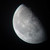 :icontigerqueen-sangha: