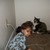 :icontigerrw86: