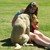 :icontigers-go-roar: