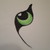 :icontigerseye1120: