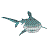 :icontigersharkiv: