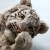 :icontigersmeow: