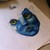 :icontigersofi: