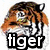 :icontigerstar88: