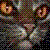 :icontigerstarrplz: