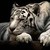 :icontigertigeranimelover: