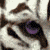 :icontigertron145:
