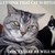 :icontigerwolf11: