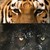 :icontigerwolf7: