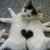 :icontiggerwilson: