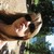 :icontiggir02: