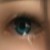 :icontigr-r-renok: